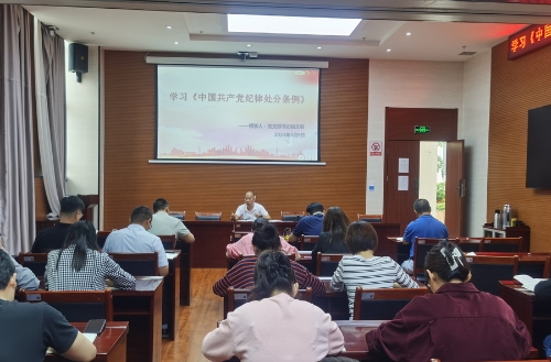 中心党纪学习教育