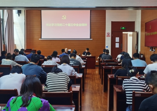 传达会议精神1