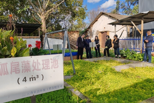 党日活动2