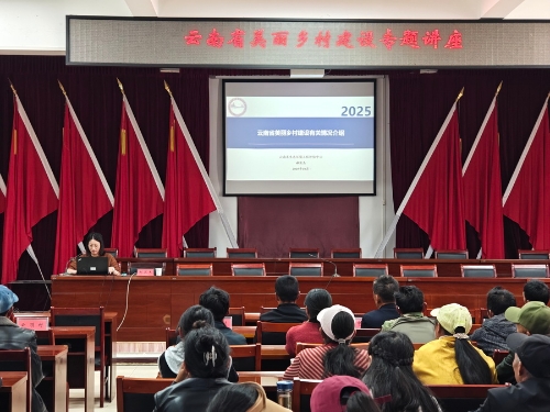 2025美丽乡村建设专题辅导2